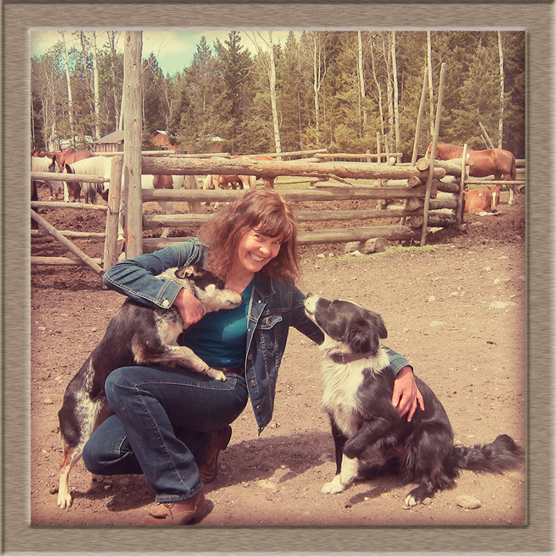 Siwash Lake Wilderness Resort