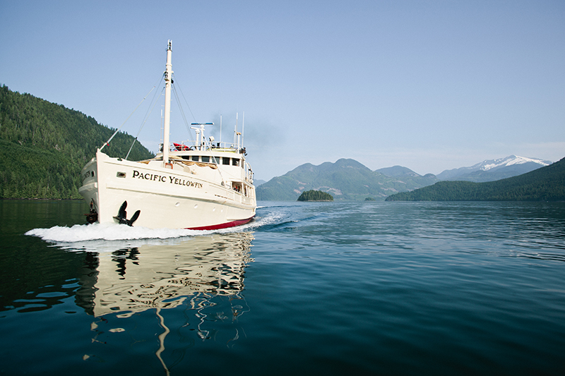 the historic MV Pacific Yellowfin photo by Jeremy Koreski