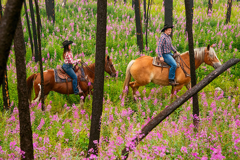horseback riding at Siwash Lake Wilderness Resort